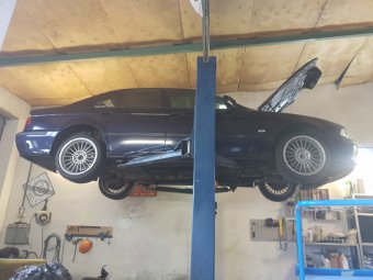 Eure Lowheit - 5er BMW - E39 Eure Lowheit - 5er BMW - E39