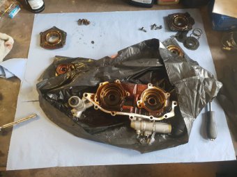 Eure Lowheit - 5er BMW - E39 Eure Lowheit - 5er BMW - E39