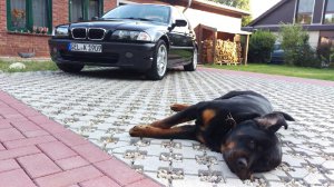 323i Limousine *original* - 3er BMW - E46