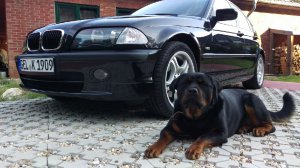 323i Limousine *original* - 3er BMW - E46