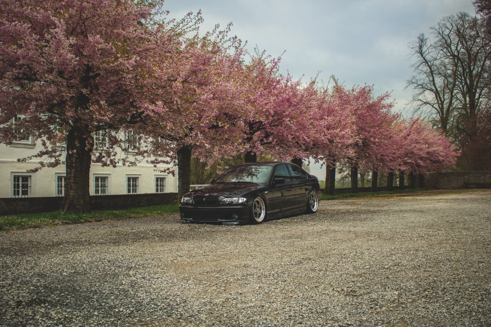 Bagged E46 325i Limo "Dosenffner" - 3er BMW - E46