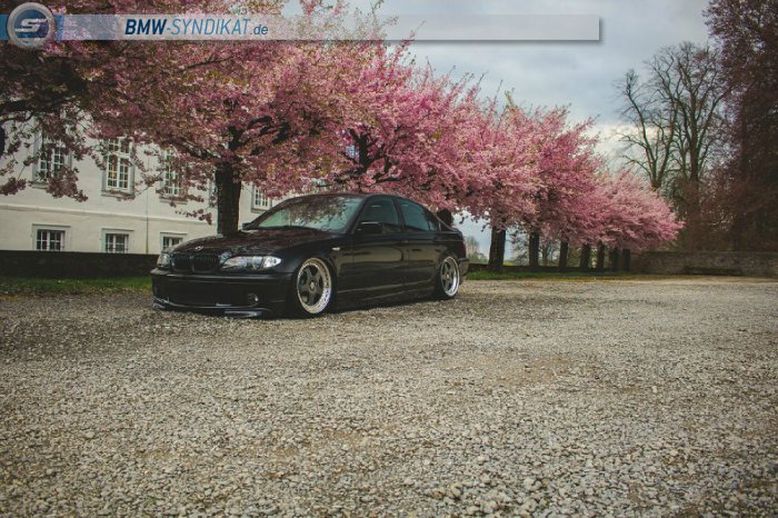 Bagged E46 325i Limo "Dosenffner" - 3er BMW - E46