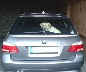 mein Dicker :) - 5er BMW - E60 / E61 mein Dicker :) - 5er BMW - E60 / E61