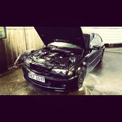 320I E46 ///M - 3er BMW - E46