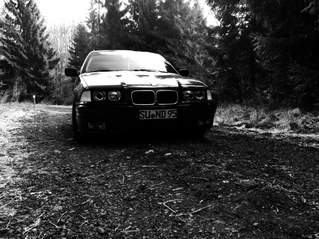 Mein Bimmer in Brokatrot - 3er BMW - E36