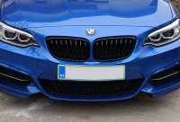 BMW M Performance Nieren 51712336815-816