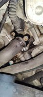 BMW E82 125i Sedonarot - Daily fr den Daily - 1er BMW - E81 / E82 / E87 / E88 - IMG20250418143555.jpg