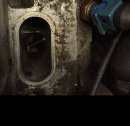 E30 M50b25 - 3er BMW - E30
