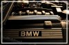 328i Touring =BMW Individual= - 3er BMW - E36 - 328i Touring PS 2.jpg