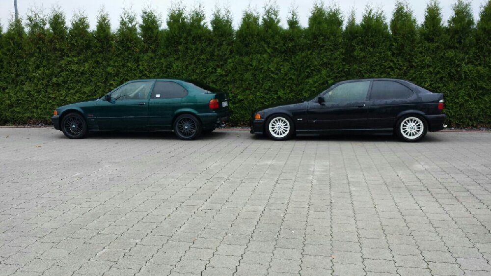 Treuer E36 316i - 3er BMW - E36