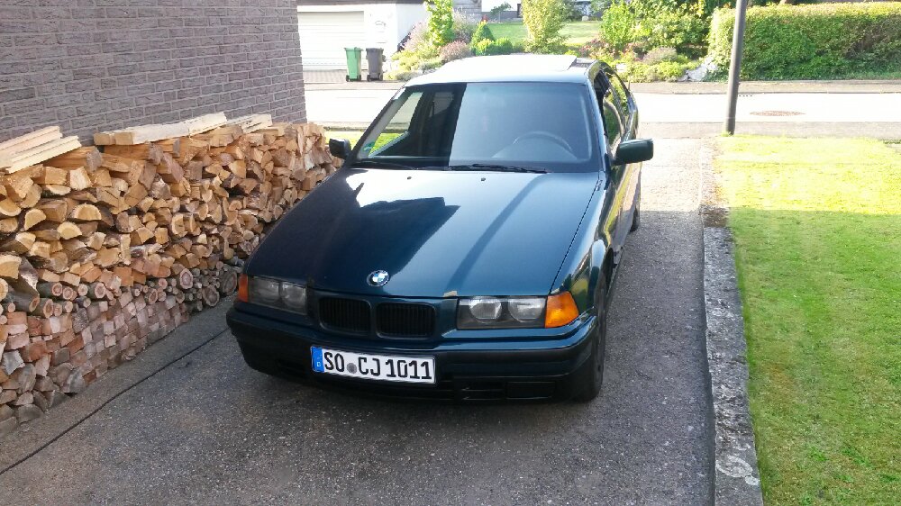 Treuer E36 316i - 3er BMW - E36