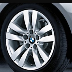 BMW Doppelspeiche 161 Felge in 8.5x17 ET 37 mit Bridgestone Sommer Reifen in 255/40/17 montiert hinten Hier auf einem 3er BMW E91 325i (Touring) Details zum Fahrzeug / Besitzer