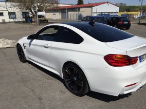 M4 Daily Bitch 😎✌️ - 4er BMW - F32 / F33 / F36 / F82