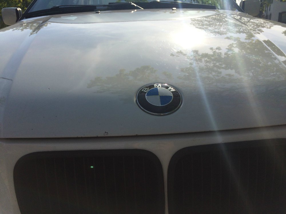 BMW E36 323i Limousine "Neuauferstehung" - 3er BMW - E36
