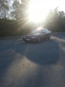 E36, 316i Limo - 3er BMW - E36