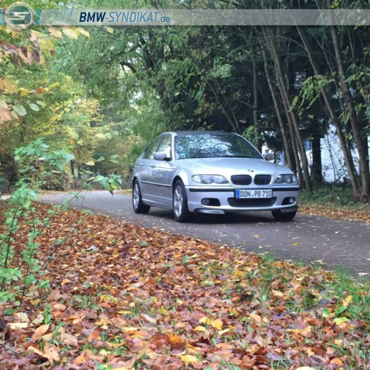 E46 / 318i Limo - 3er BMW - E46