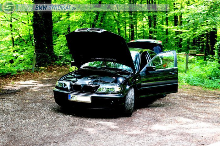 BMW e46 320i :-D, I Love BMW - 3er BMW - E46