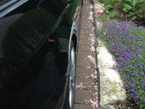 BMW E91 320d "Penlope" - 3er BMW - E90 / E91 / E92 / E93