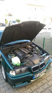 E36, 323 Compact - 3er BMW - E36