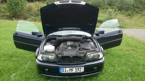 Mein Sommertraum ist beendet !!!!!!!!!! - 3er BMW - E46