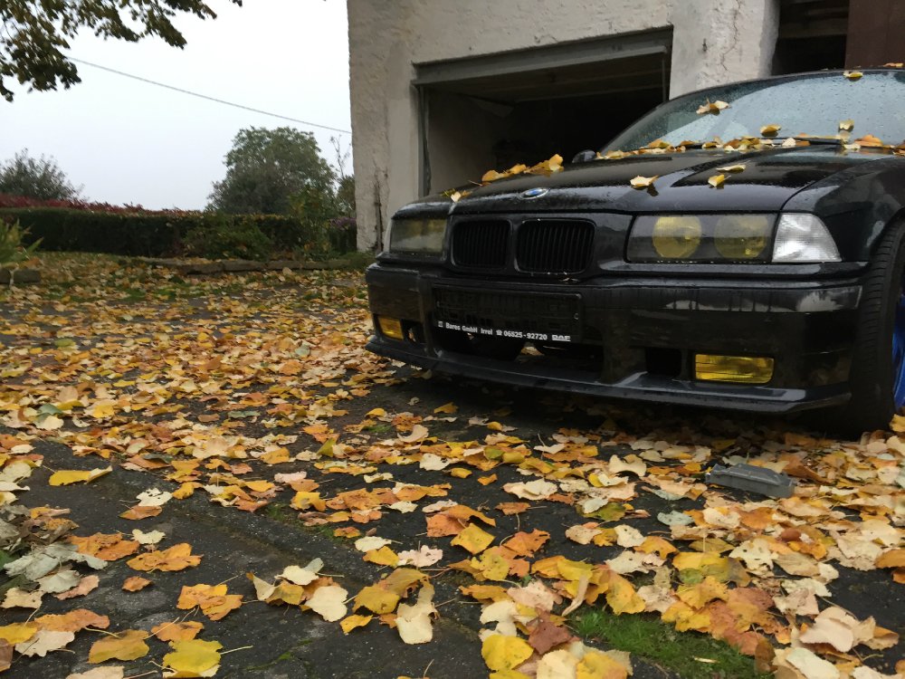 BMW E36 325 / Neuaufbau - 3er BMW - E36