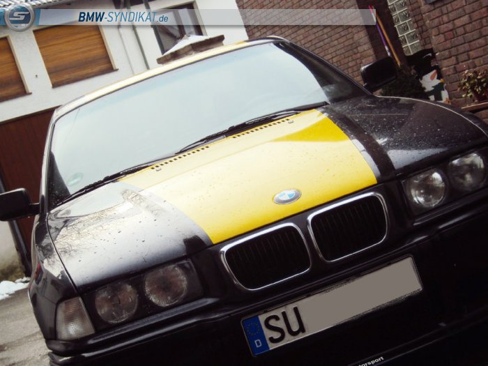 325i E36 Coupé AVUS *Ex* - 3er BMW - E36 325i E36 Coupé AVUS *Ex* - 3er BMW - E36