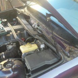 Erster Traum BMW Daytona Violett - 3er BMW - E36
