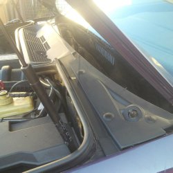 Erster Traum BMW Daytona Violett - 3er BMW - E36
