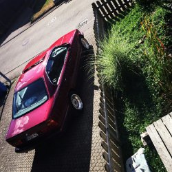 Classic Red E34 - 5er BMW - E34