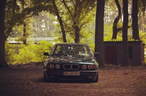E34, 525i Limo \ Oxfordgrne Diva - 5er BMW - E34