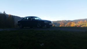 Wolfs E36 - 3er BMW - E36