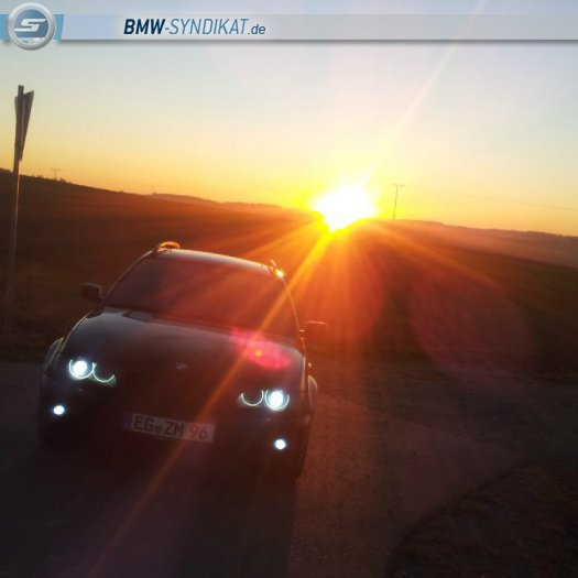 E46 Touring | black & gold - 3er BMW - E46