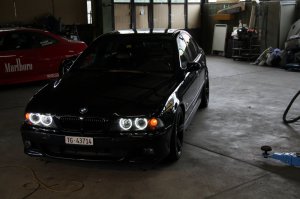 ///M5 E39___Black Devil with White Angel Eyes - 5er BMW - E39