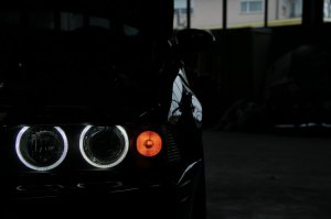 ///M5 E39___Black Devil with White Angel Eyes - 5er BMW - E39