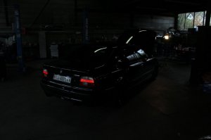 ///M5 E39___Black Devil with White Angel Eyes - 5er BMW - E39