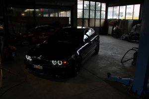 ///M5 E39___Black Devil with White Angel Eyes - 5er BMW - E39