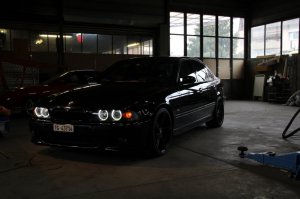 ///M5 E39___Black Devil with White Angel Eyes - 5er BMW - E39