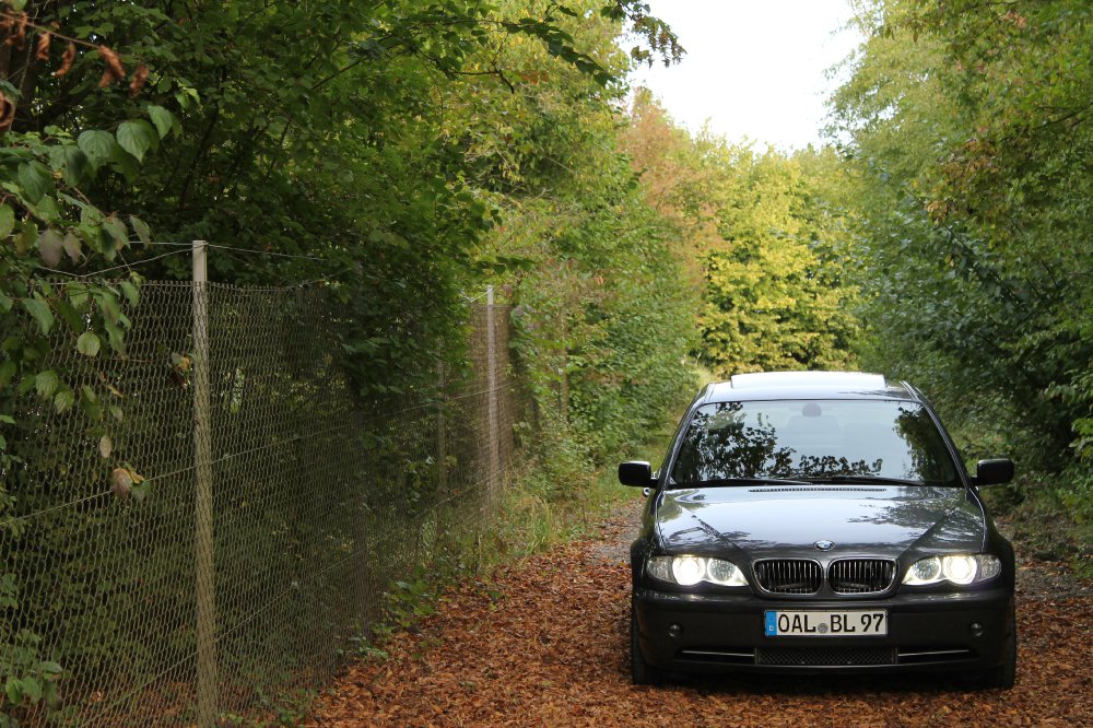 E46 318i Limousine (+CarPorn)(1. Auto) - 3er BMW - E46