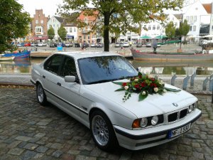 530i V8 - 5er BMW - E34
