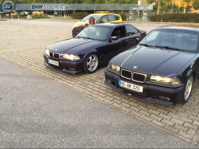 Meine 3er Sammlung/Projekte - 3er BMW - E36