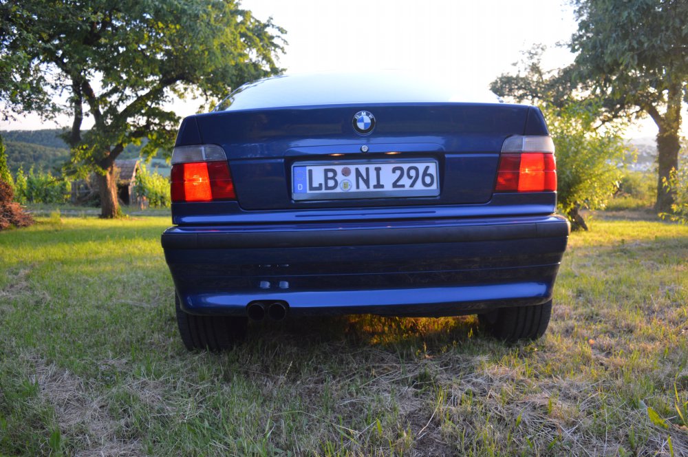 E36 316i Compact "Dezent" - 3er BMW - E36