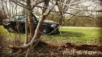 E46, 330i Coupe - 3er BMW - E46 - IMG_20170410_144735_939.jpg