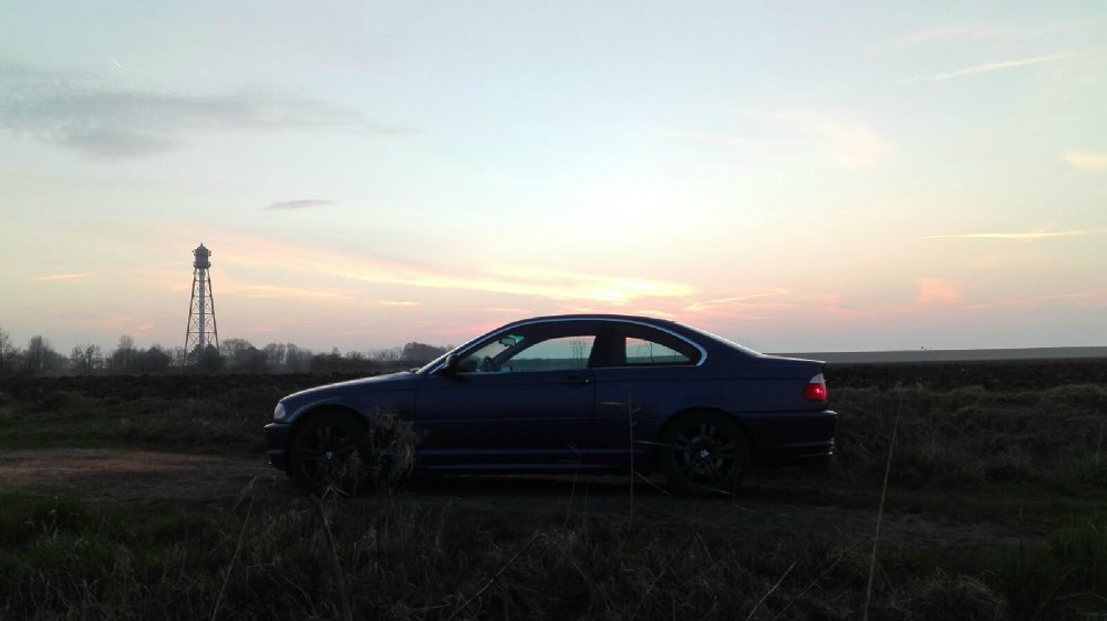 320 Ci Tiger - 3er BMW - E46