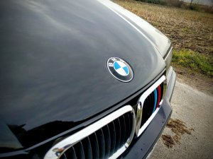 BMW E36 316i Compact M Paket  Cosmos Schwarz - 3er BMW - E36