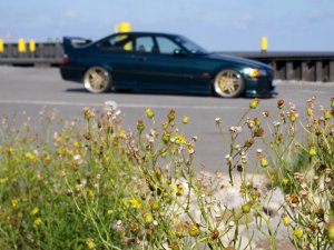 328i Individual Coupe --> S50B32 - 3er BMW - E36