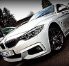 F36_Gran Coupé - White Pearl - 4er BMW - F32 / F33 / F36 / F82 - image.jpg