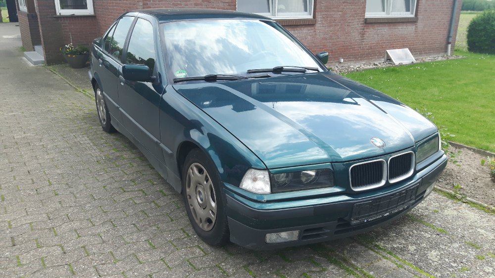 E36, 316i Limo - 3er BMW - E36