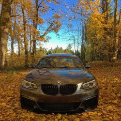 M240i Airlift | Akrapovič | Z-Performance - 2er BMW - F22 / F23 / F45 / F46 / F87