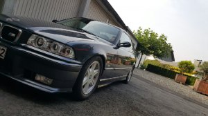Mein "special " 316i - 3er BMW - E36