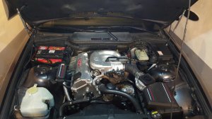 Mein "special " 316i - 3er BMW - E36